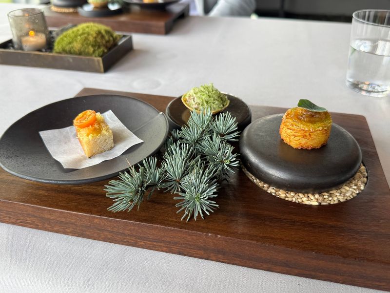 Three Choices, Six Courses