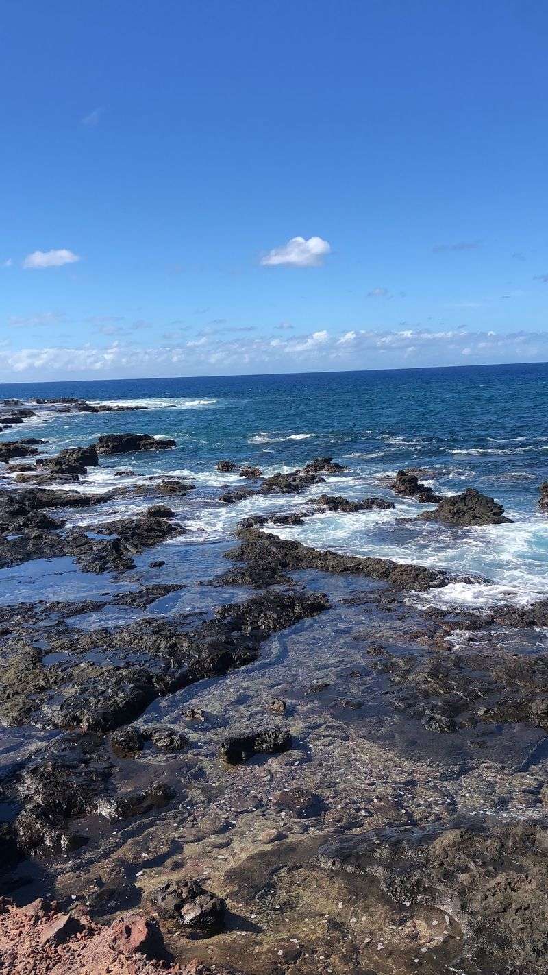 Tide Pools Built for Slow Exploring