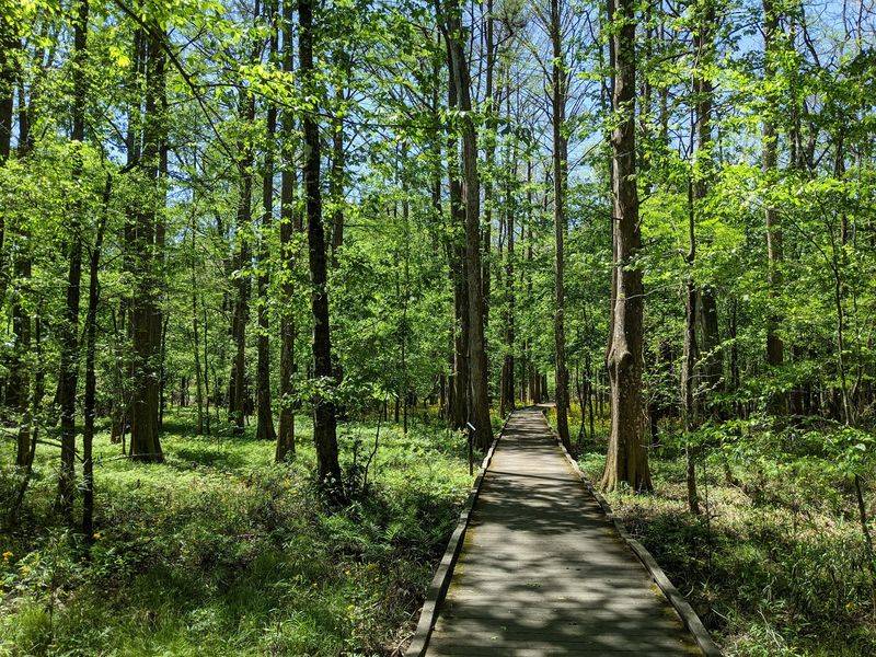 Trails That Never Lose You