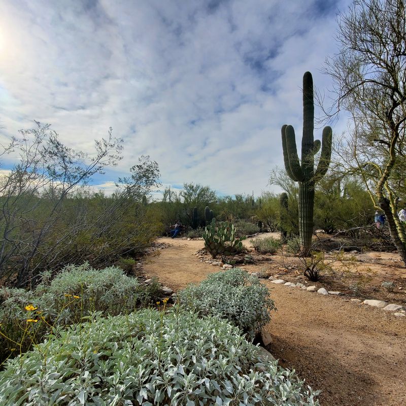 Trails That Teach as You Wander