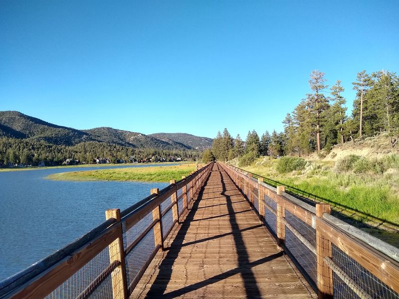 Trails Through San Bernardino National Forest