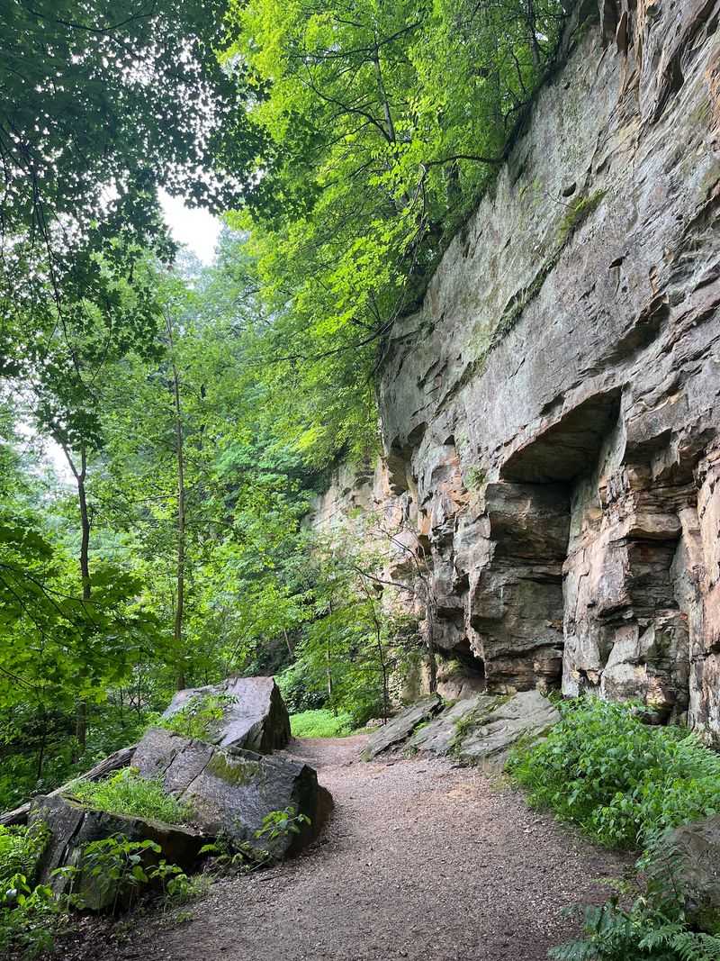 Trails for Strolls and Sweat Alike