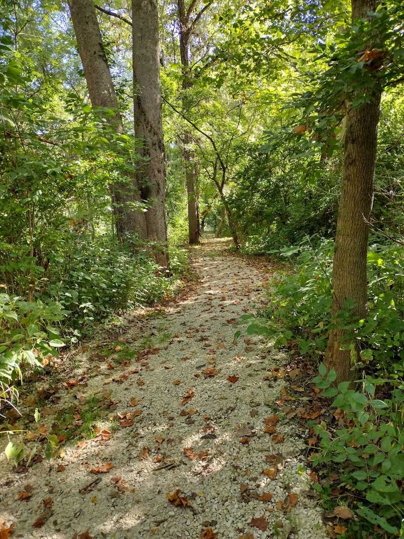 Trails on the Old Canal Towpath