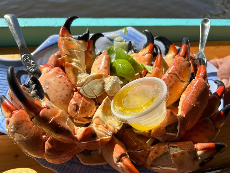 Triad Seafood Market & Cafe, Everglades City, FL