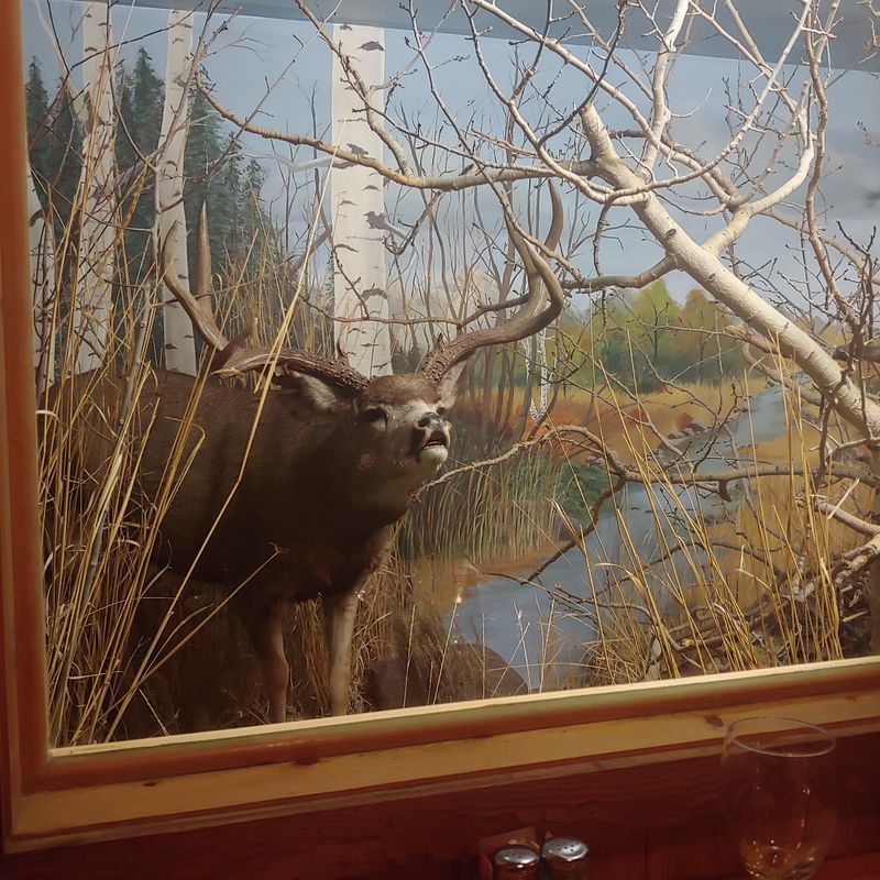 Trophies, Taxidermy, and One Famous Diorama Trophies, Taxidermy, and One Famous Diorama