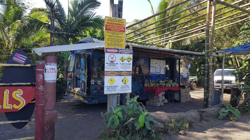 Twin Bridges Fruit Stand, Hana, Maui