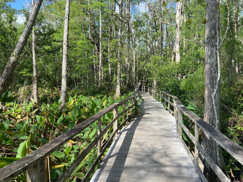 Two and a Quarter Miles of Planks