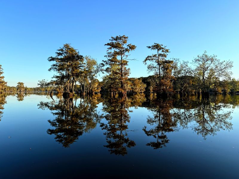Ville Platte, near Chicot State Park Ville Platte, near Chicot State Park
