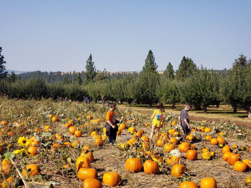Walters' Fruit Ranch, Mead, WA