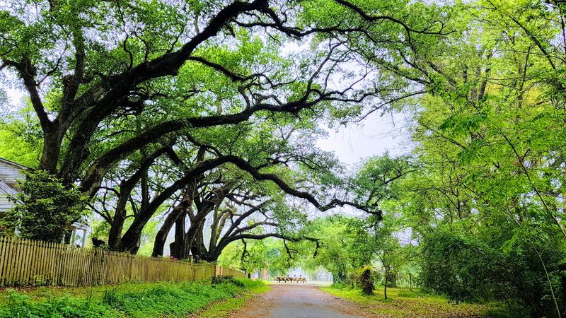 Washington, Louisiana Washington, Louisiana