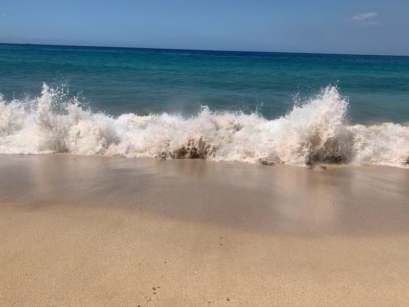 Watching for the Sneaky Waves