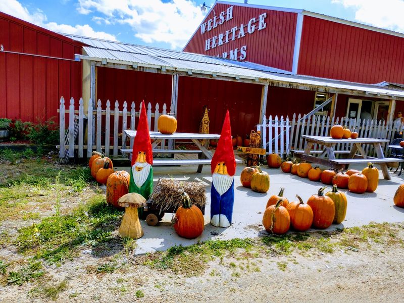 Welsh Heritage Farms, Lake Crystal, MN