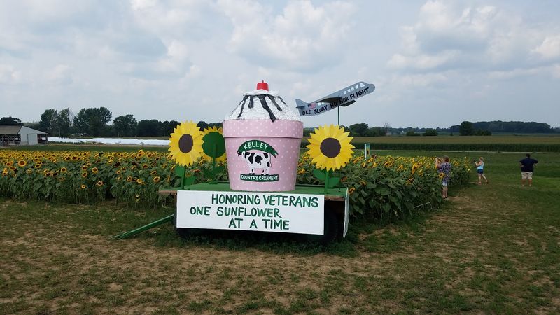 When the Sunflowers Show Up When the Sunflowers Show Up
