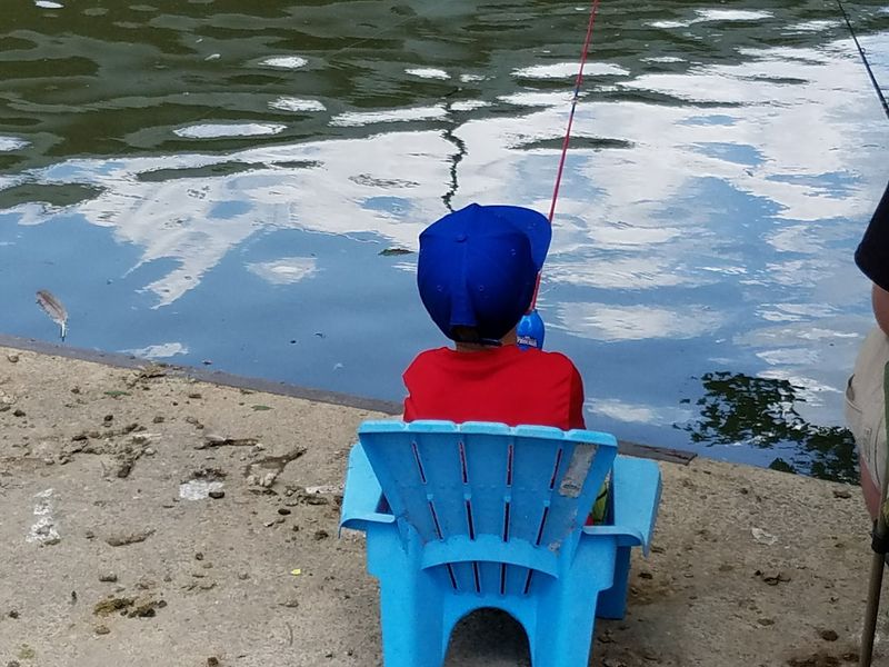 Where the Fish Get Plenty of Company