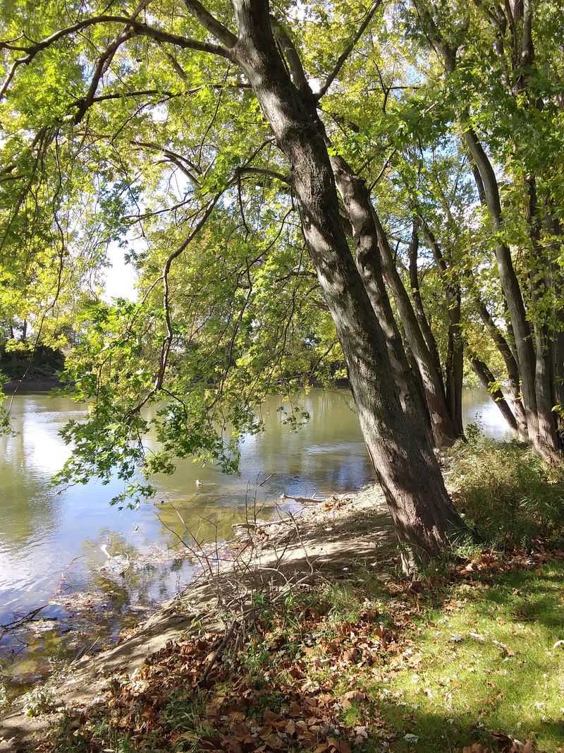 Where the Rivers Meet in Huntington
