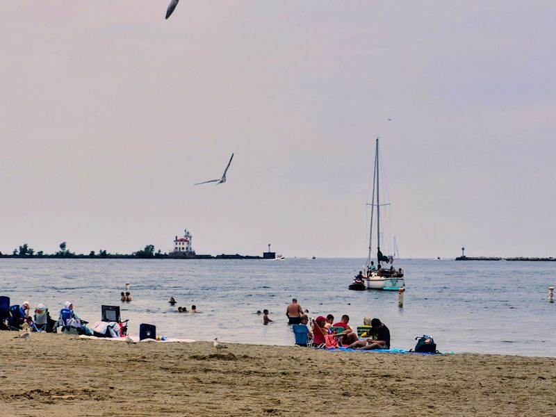 Who Feels at Home on This Shore