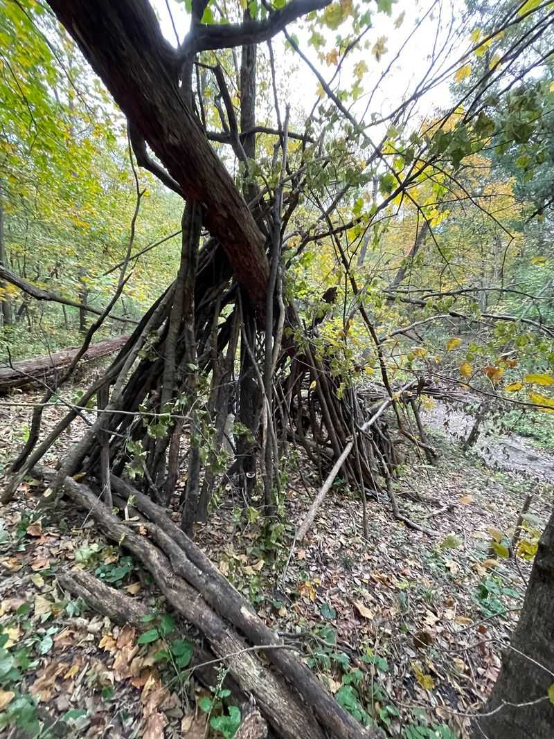 Why This Little Woodland Wins Fans Why This Little Woodland Wins Fans