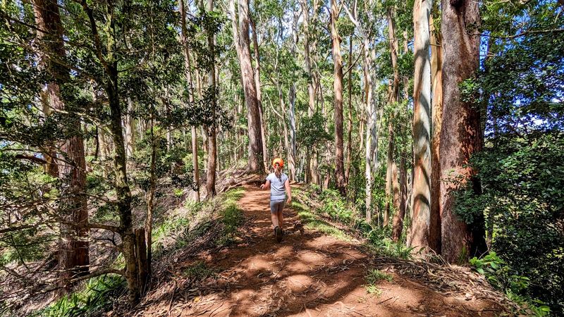 Why This Quiet Park Wins People Over