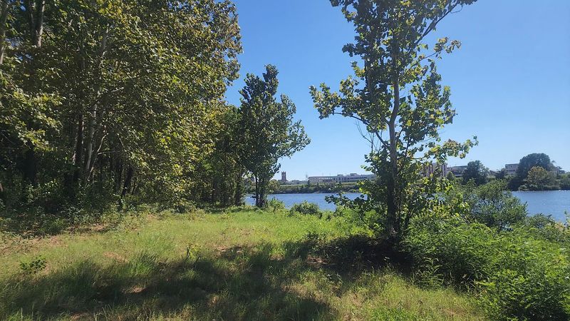 Why This Quiet Spot Wins People Over Why This Quiet Spot Wins People Over