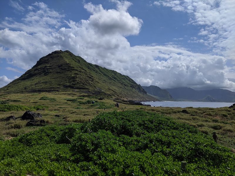 Why This Wild Corner Is Worth The Effort Why This Wild Corner Is Worth The Effort