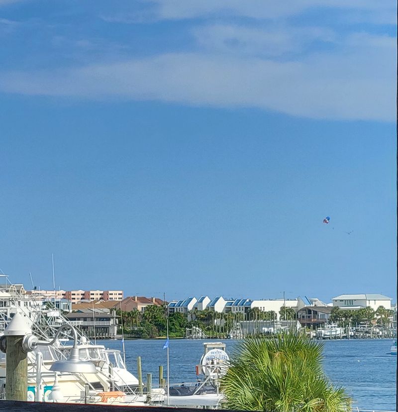 Why the Harbor Deserves Your Appetite