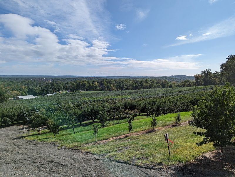 Wightman Farms, Morristown, NJ