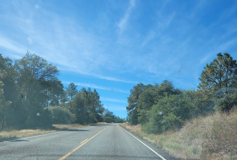 Winters Without the Snow Shovel