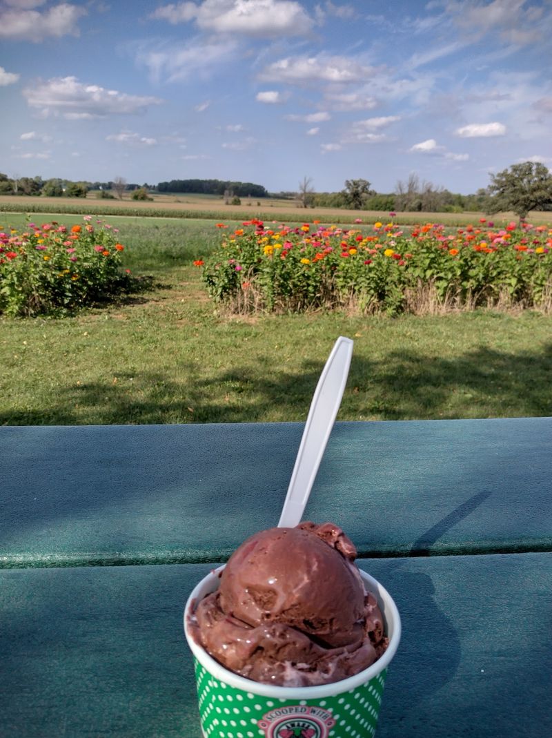 Worth the Detour Into the Countryside Worth the Detour Into the Countryside