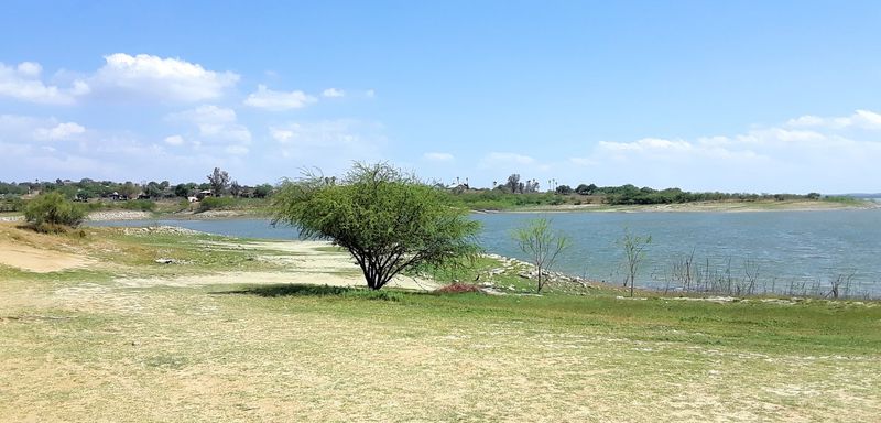 Zapata