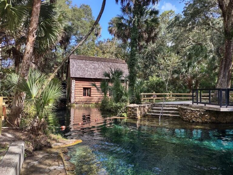 Deep In The Ocala Forest, Juniper Springs Hides A Clear Run Few Paddlers Know