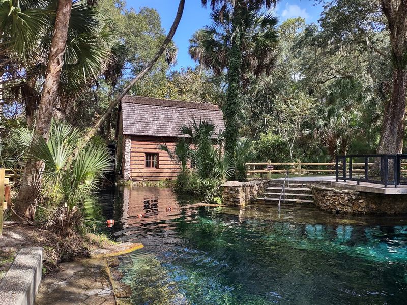Deep In The Ocala Forest, Juniper Springs Hides A Clear Run Few Paddlers Know