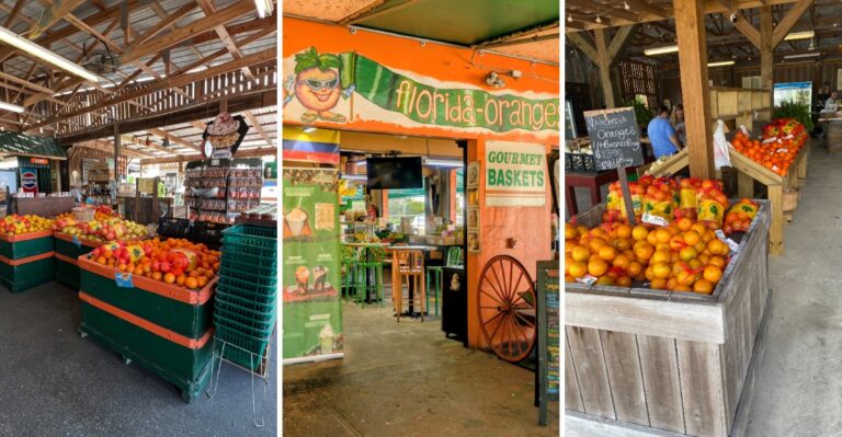 Seven Old Florida Roadside Stands Where Locals Still Buy Citrus By The Bag