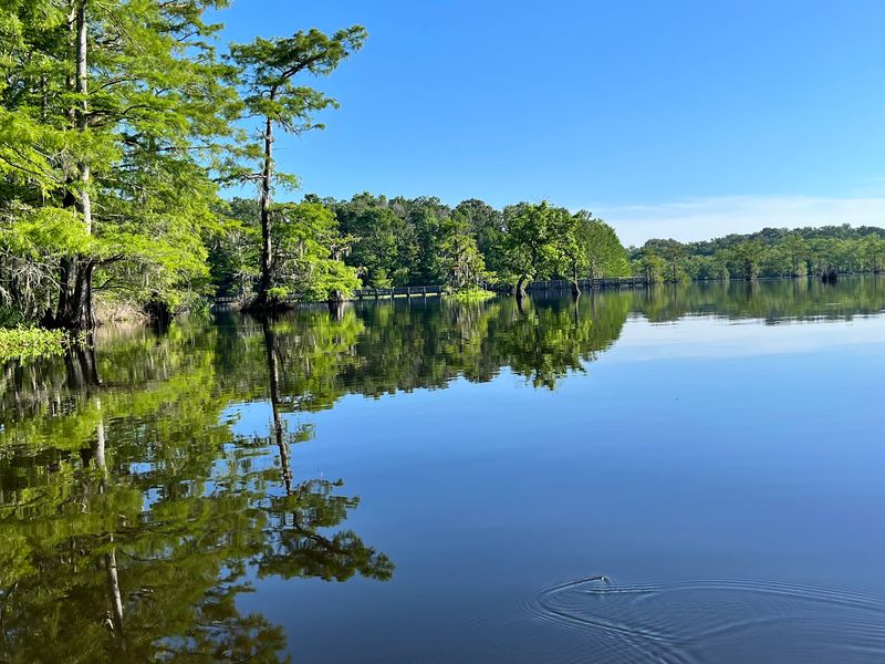 Few Louisiana State Parks Rival The Quiet Beauty Of Paddling This Cypress-Ringed Lake