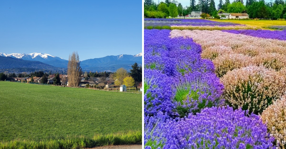 Retirees Are Quietly Moving To This Sunny Eastern Washington Town Where Homes Still Cost Less