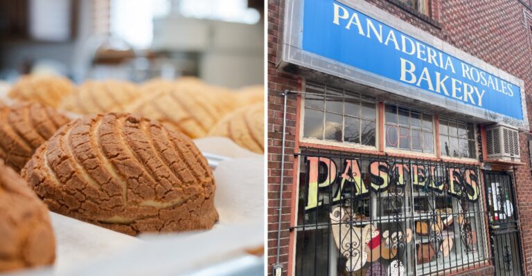 Seven Colorado Mexican Bakeries Where The Conchas Are Still Warm When You Walk In