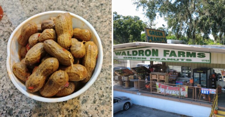 Snowbirds Heading South This Fall Should Stop For Boiled Peanuts At These 6 Florida Stands