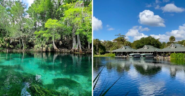 Few Floridians Know About The Glass-Bottom Boats Still Drifting Over Silver Springs