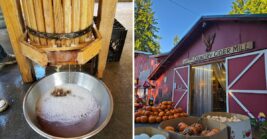 Fall In Washington Means These 7 Places Are Pressing Fresh Cider Right Now
