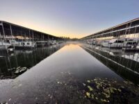 Boaters Who Pull Into This Alabama Lake Town Find Slips, A Pool, And Pontoon Rentals Waiting