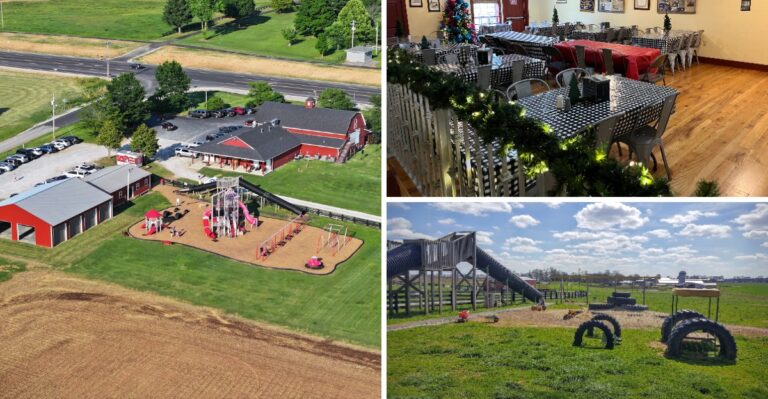 This Kentucky Dairy Farm Scoops Bourbon Crunch Ice Cream Steps From the Jersey Cows You Can Pet