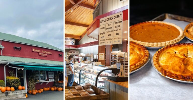 When The Leaves Turn, These 7 Connecticut Farm Stands Sell Pies Fresh From The Oven