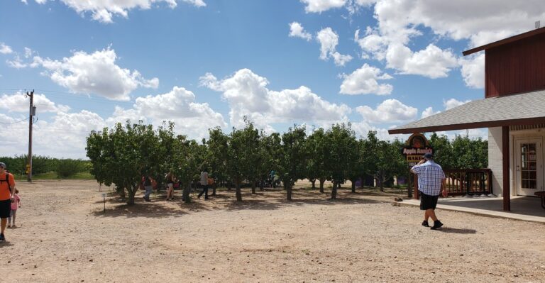 People Drive Up From Phoenix Just For The Apple Pie At This Julian-Style Orchard Stop In Willcox
