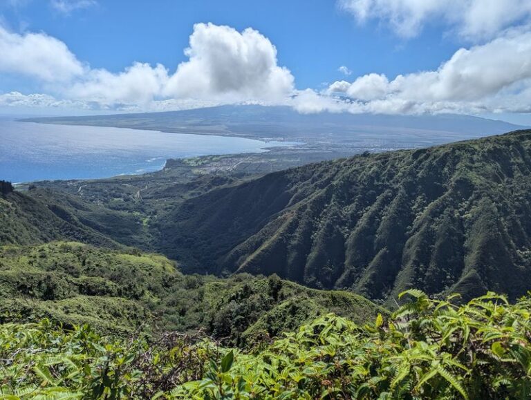 This Easy Maui Coastal Trail Delivers Big Lava-Cliff Views Without The Grueling Climb