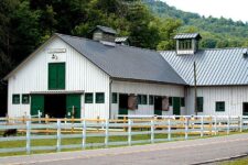 Seven Pennsylvania Ice Cream Dairies Where The Cows Are Grazing Right Outside