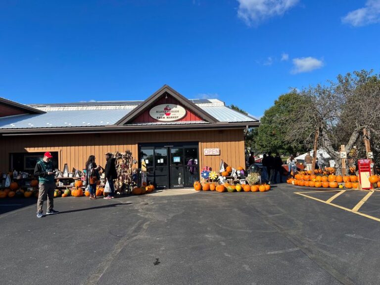 Fall Weekends In Maryland Mean Apple Cider Doughnuts From These 5 Orchards