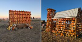 Why Idaho Families Keep Coming Back To These 6 Pumpkin Patches And Corn Mazes Every Fall