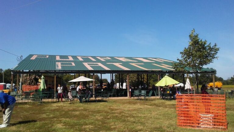 Families Pile Into Schaefer’s Pumpkin Patch In Mayflower, Arkansas For A Full Day Of Fall Fun