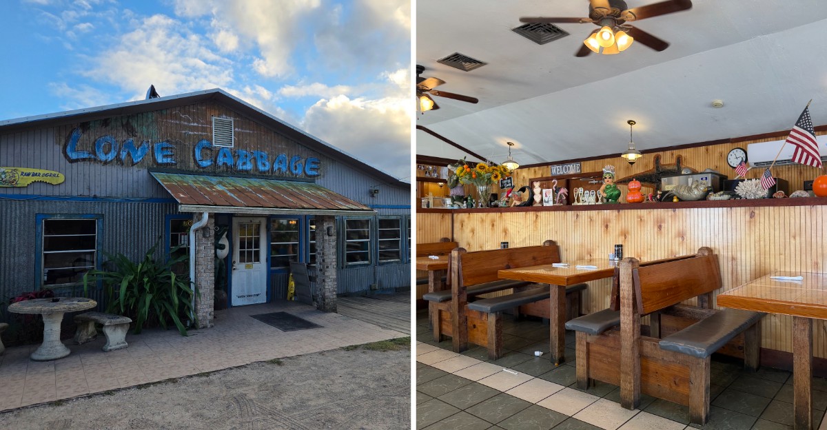 Fried Gator And Frog Legs Have Come Out Of Fort Christmas’s Woods For Decades At Yellow Dog? Try These 4 Swamp Restaurants