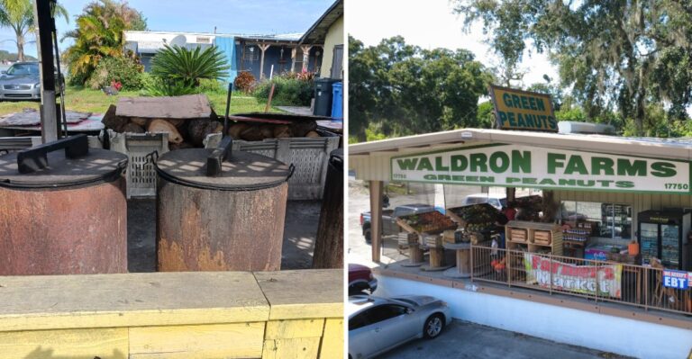 Hot Boiled Peanuts And Fresh Fruit Make These 6 Florida Roadside Stands Worth Pulling Over