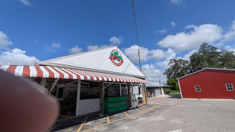 Floridians Drive To Plant City For The Strawberry Shortcake At Parkesdale Farm Market